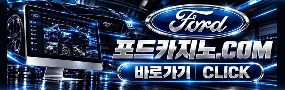 평생도메인